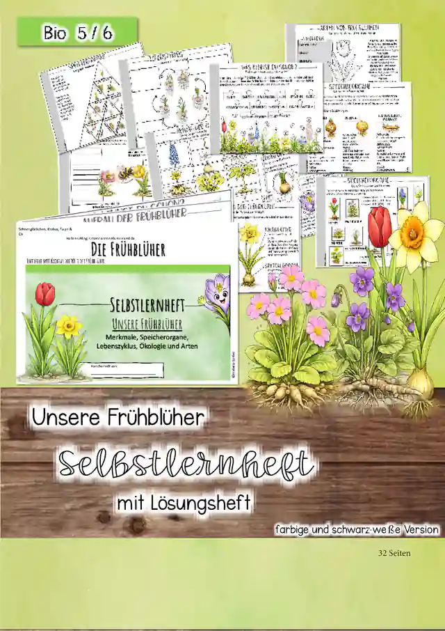 Selbstlernheft Frühblüher Blumen im Frühling