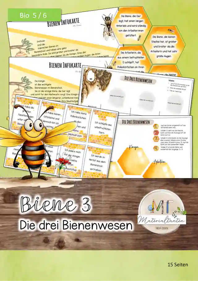 Biene 3 - Bienenwesen: Biologie 5/6