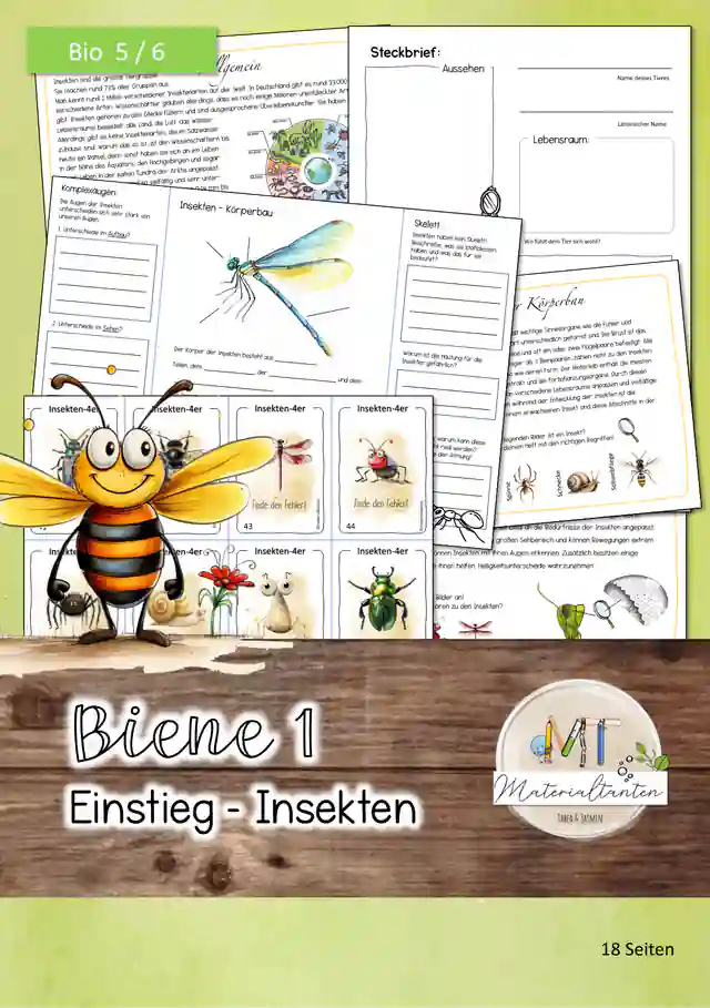 Biene 1 - Einstieg Insekten: Biologie 5/6