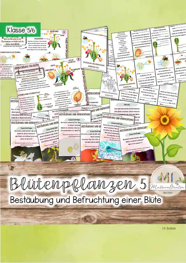Aufbau Blütenpflanzen / Bestäubung und Befruchtung von Blütenpflanzen