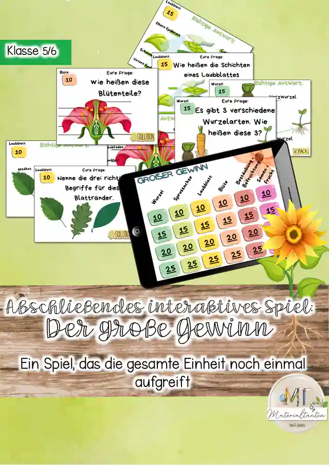 Aufbau von Blütenpflanzen / Das Wissensspiel / Der große Preis