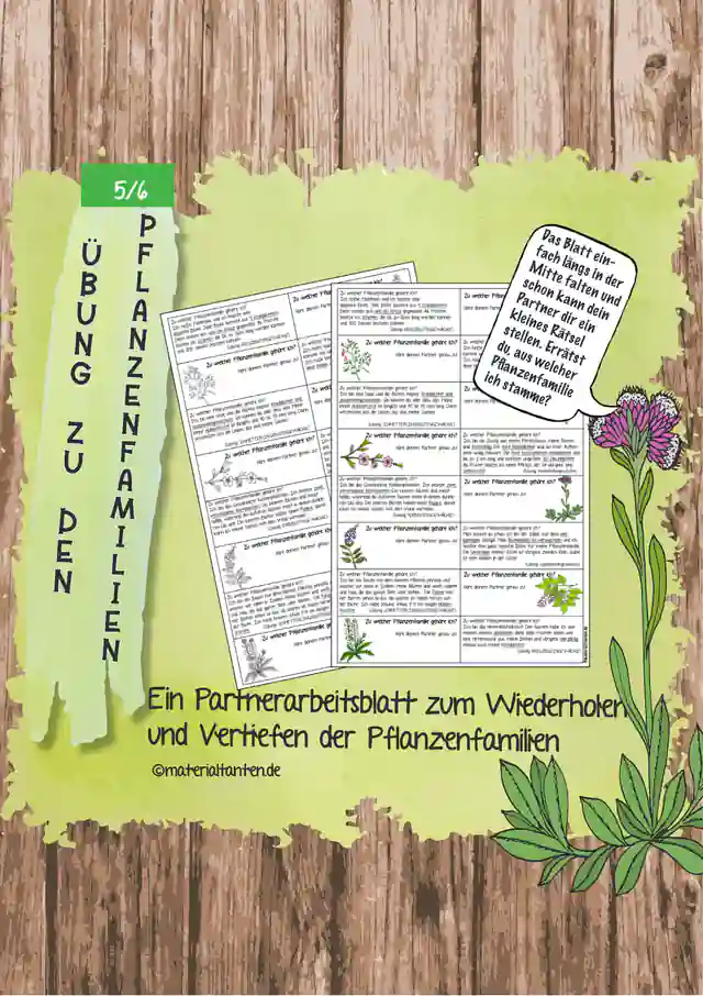 Übungsblatt zu den Pflanzenfamilien