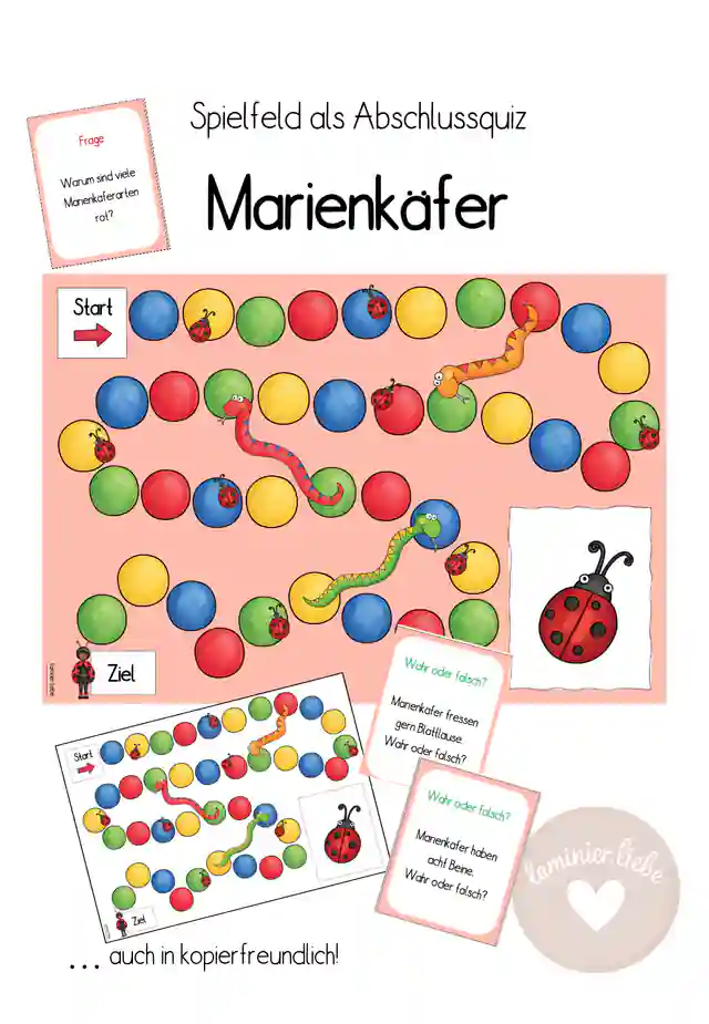 Spielfeld Marienkäfer: Abschlussquiz