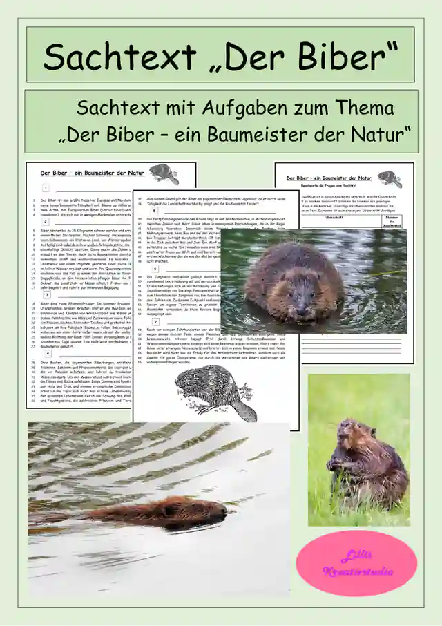 Sachtext - Der Biber - Textarbeit, Leseverständnis
