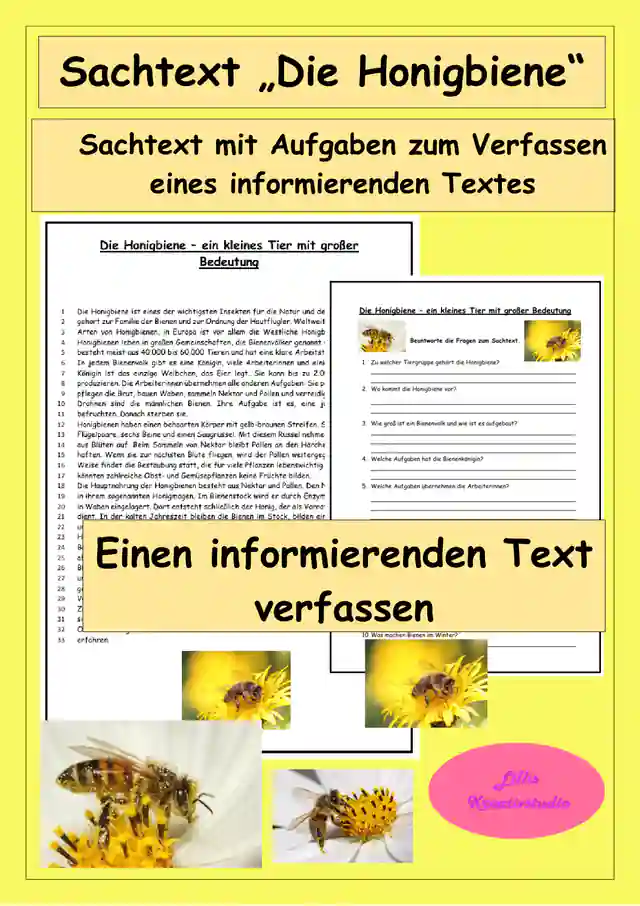 Die Honigbiene - einen informierenden Text verfassen
