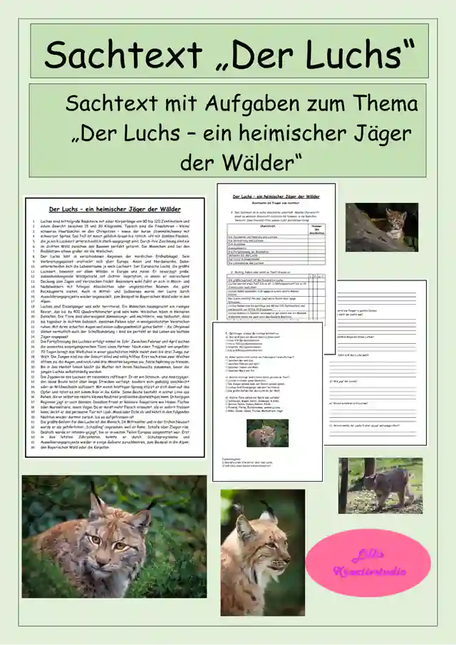 Der Luchs - Sachtext - Leseverständnis - Textarbeit