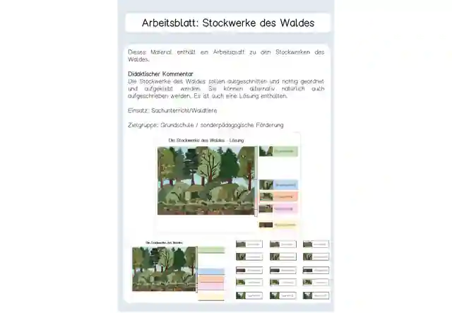 Arbeitsblatt Stockwerke des Waldes