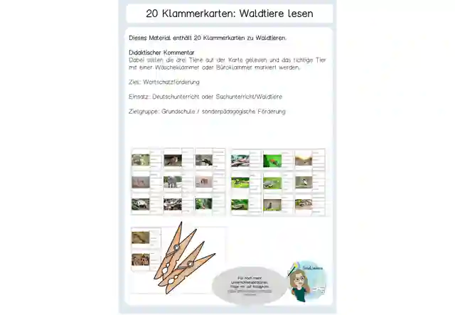  20 Klammerkarten Waldtiere Begriffe
