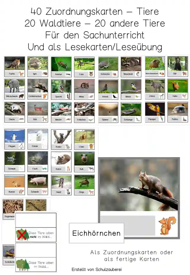Wort- Bildkarten 40 Tiere (davon 20 Waldtiere)