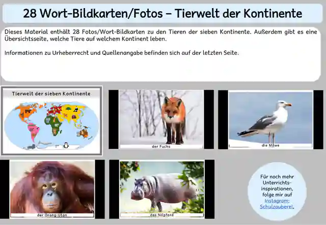 28 Fotos/Wort-Bildkarten zu Tieren der sieben Kontinente
