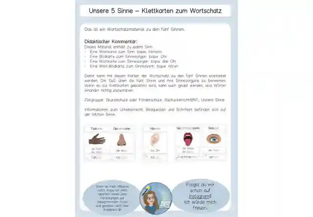 5 Klettkarten Sinne Sinnesorgane