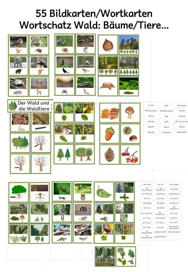 55 Bildkarten Wortkarten Wald Bäume Waldtiere