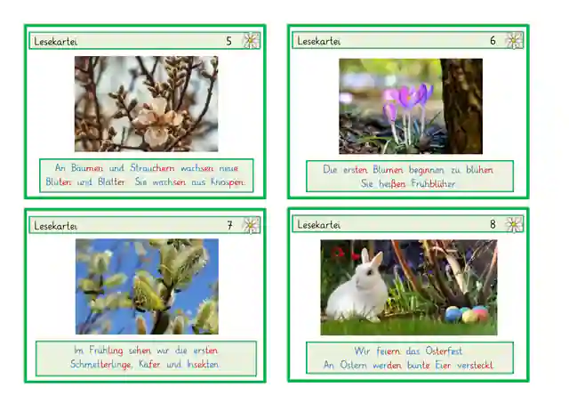 Lesekartei Frühling sonderpädagogische Förderung