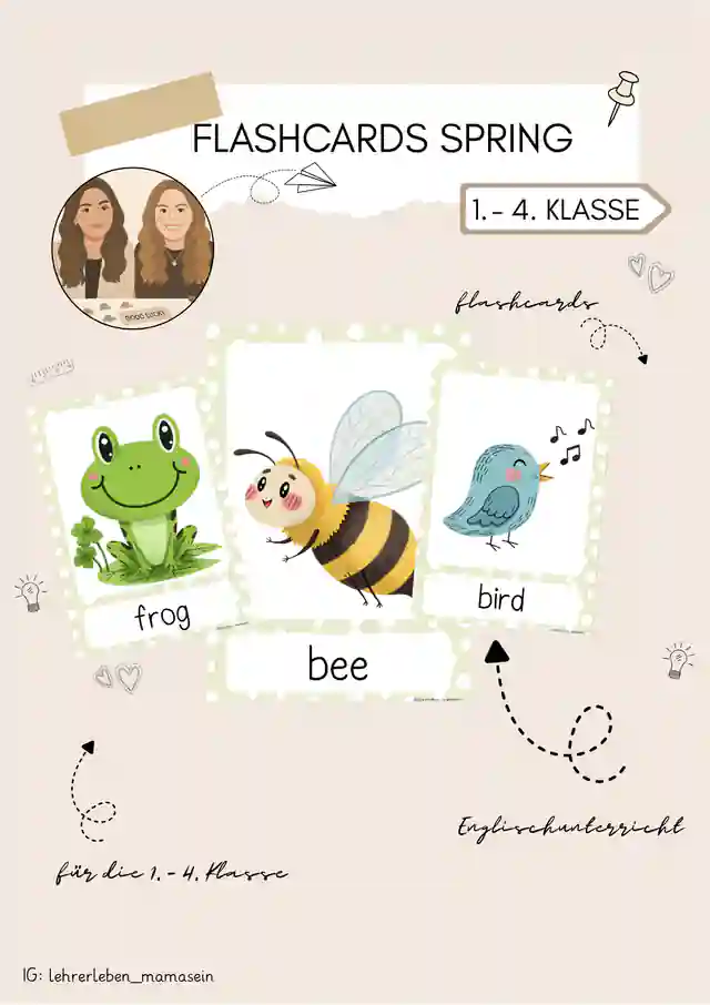 Flashcards spring