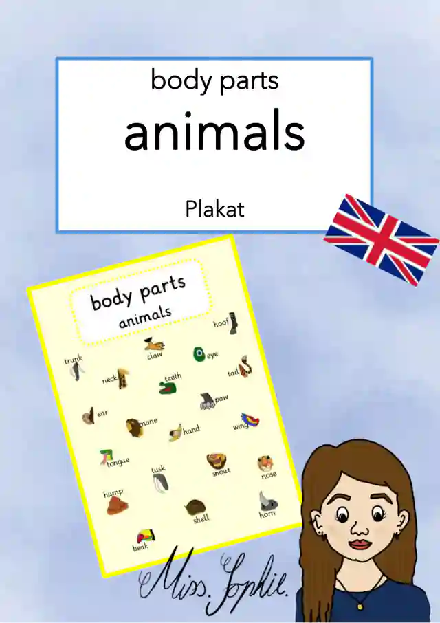 body parts_animals_Plakat