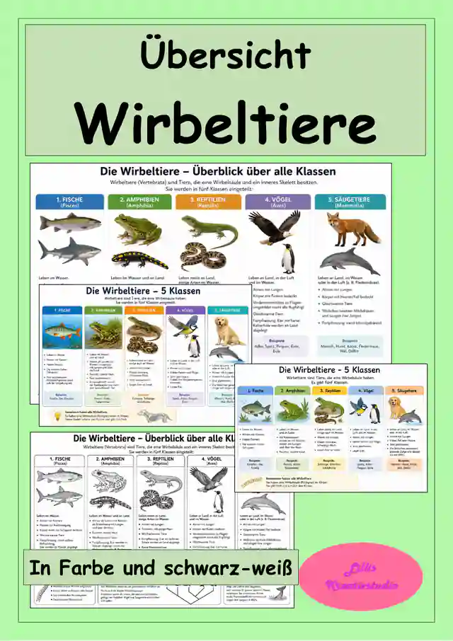 Wirbeltiere - Übersicht über die Wirbeltierklassen