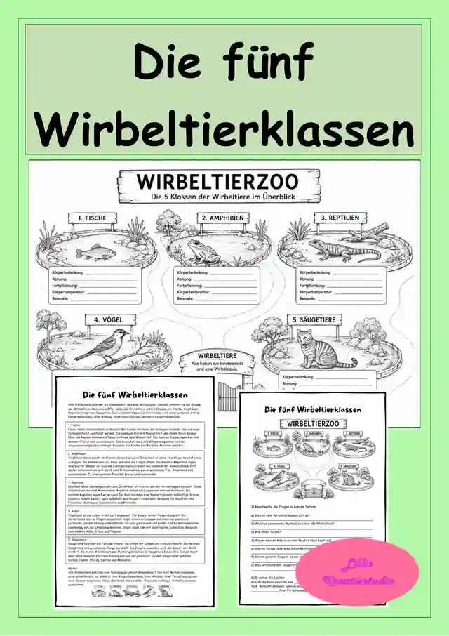 Die fünf Wirbeltierklassen - Wirbeltiere im Überblick - Der Wirbeltierzoo