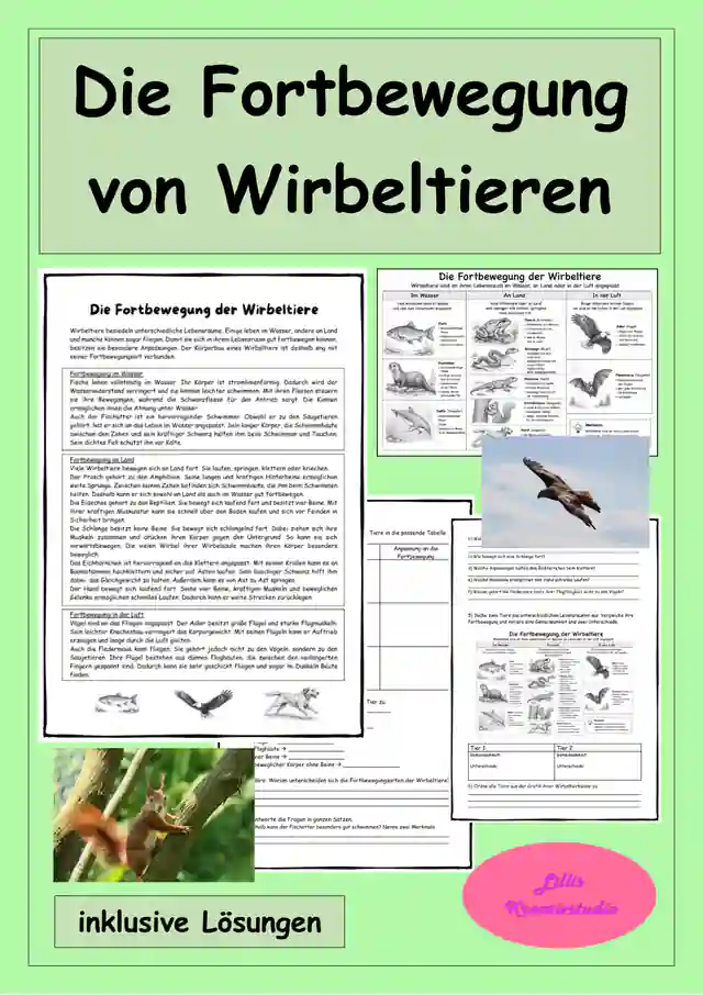 Die Fortbewegung der Wirbeltiere - Anpassung an Wasser, Land und Luft