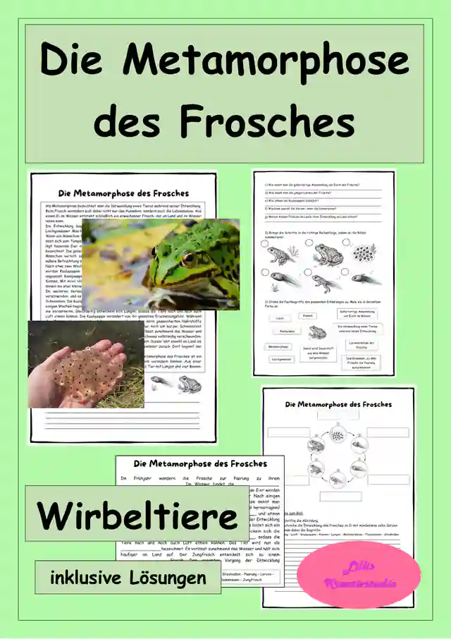 Die Metamorphose des Frosches - Fortpflanzung der Wirbeltiere