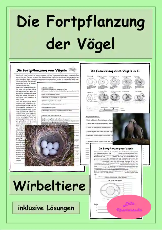 Die Fortpflanzung der Vögel - Wirbeltiere - Entwicklung eines Vogels im Ei