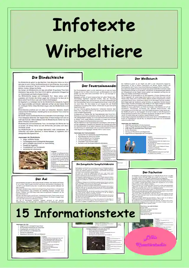 15 Infotexte zu Wirbeltieren - Aufgaben und Steckbrief