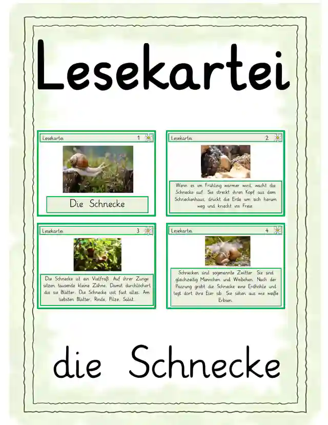 Lesekartei Schnecke