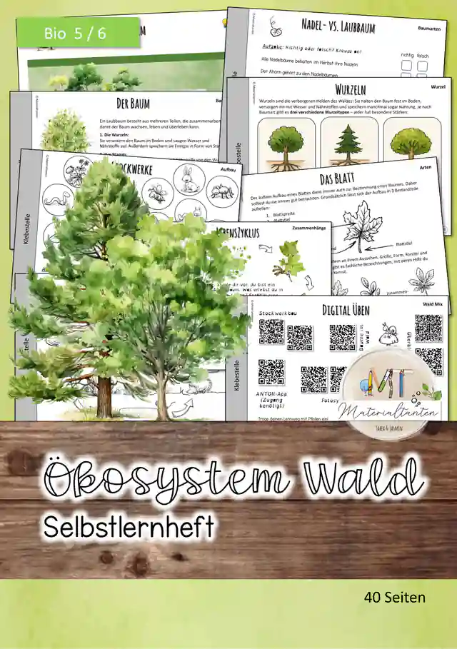 Ökosystem Wald - Selbstlernheft: Biologie 5/6