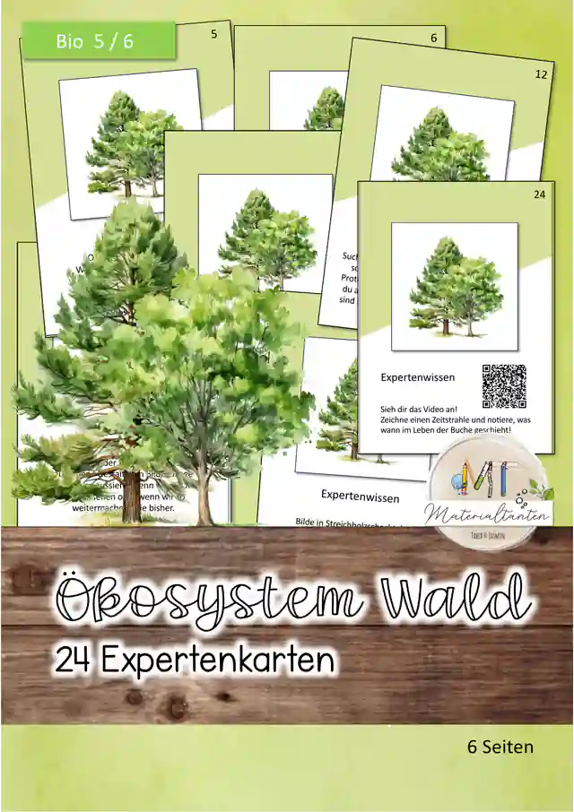 Ökosystem Wald - Expertenkarten: Biologie 5/6 differenzieren