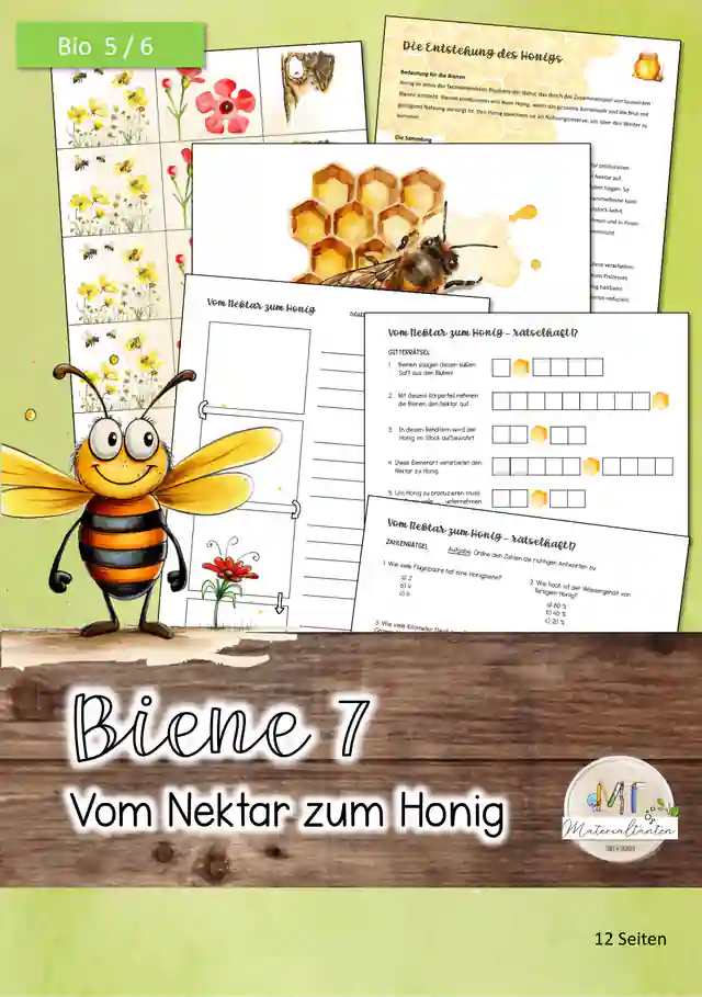 Biene 7 - Honigentstehung: Biologie 5/6