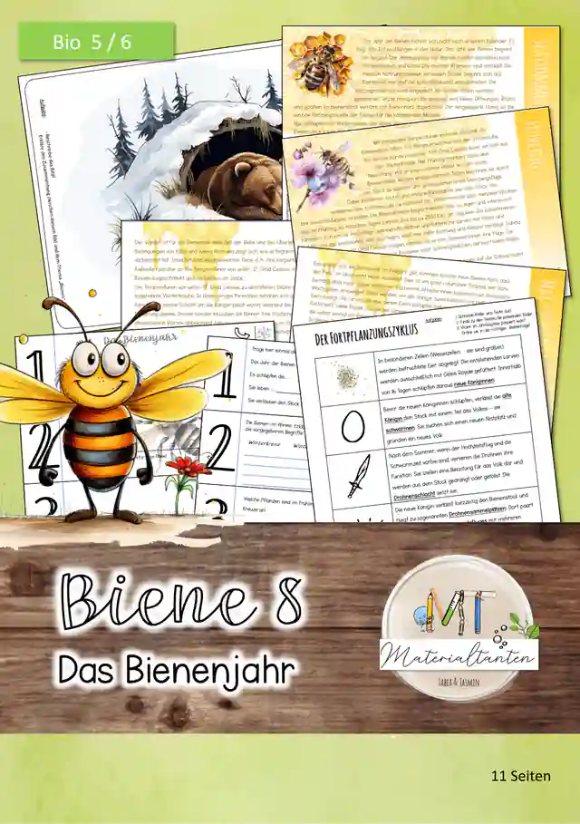 Biene 8 - Das Bienenjahr: Biologie 5/6