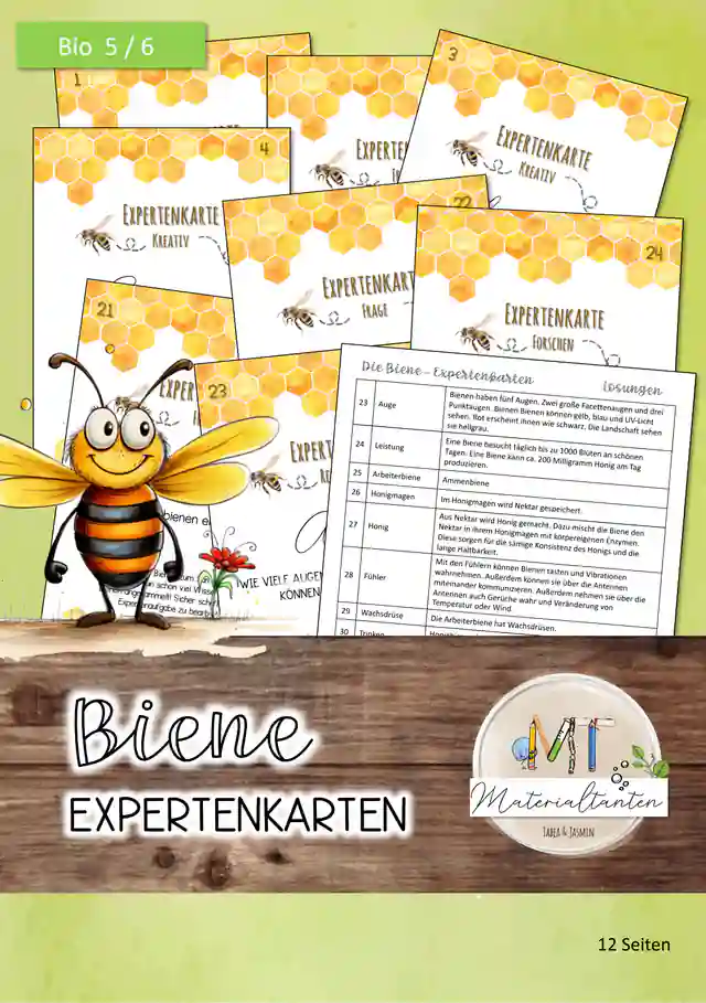 Biene - Expertenkarten: Biologie 5/6