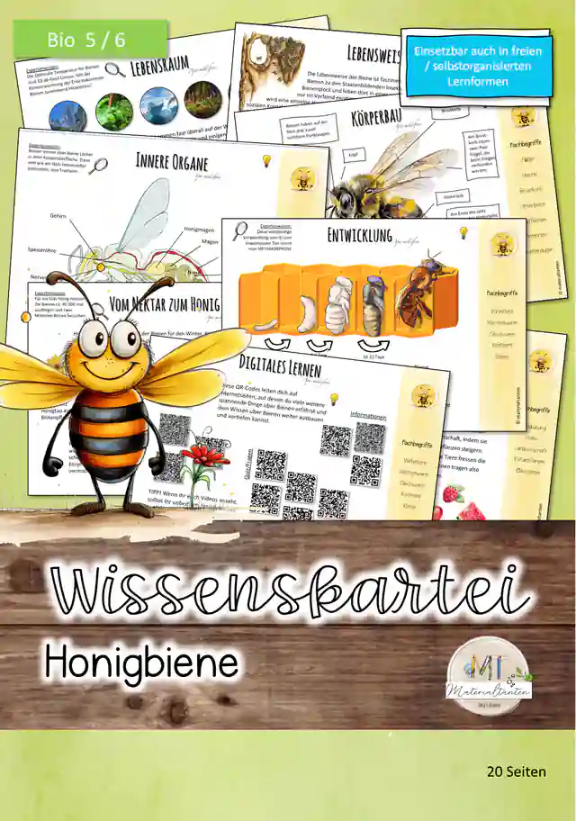 Biene - Wissenskartei: Biologie 5/6