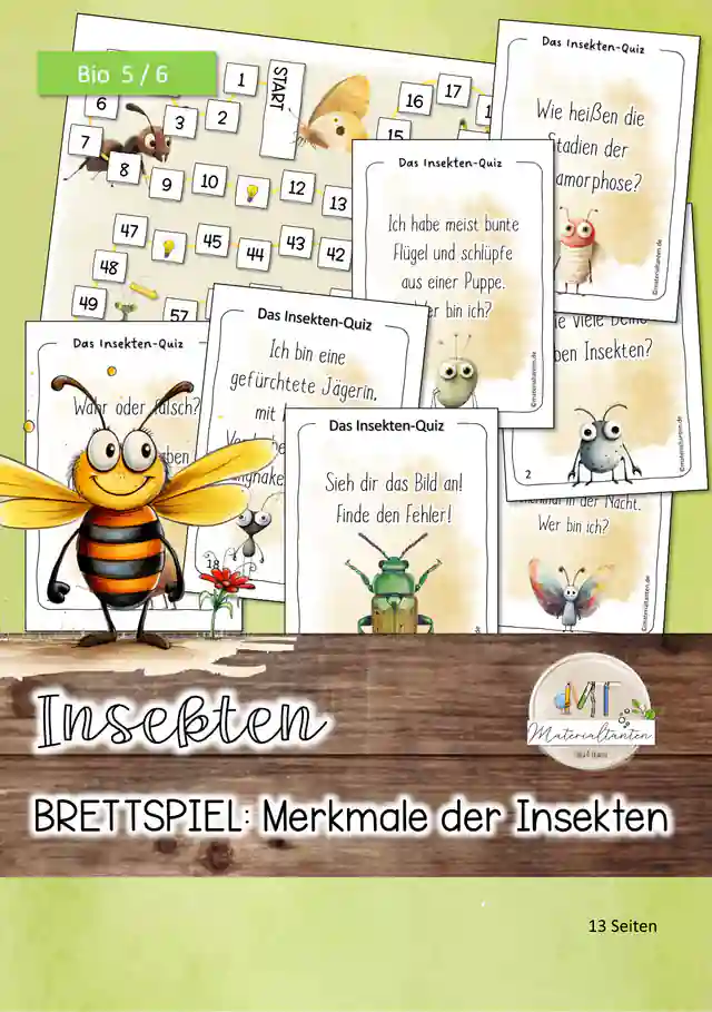 XXL-Bundle/Paket: Die Biene