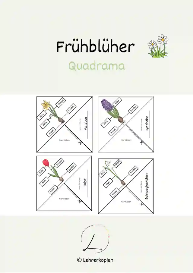 Frühblüher: Quadrama basteln