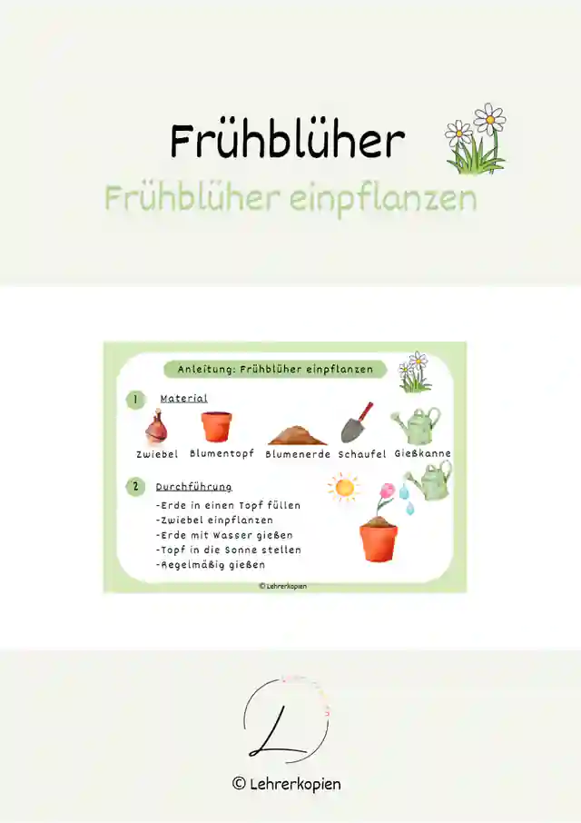 Frühblüher: Einpflanzen