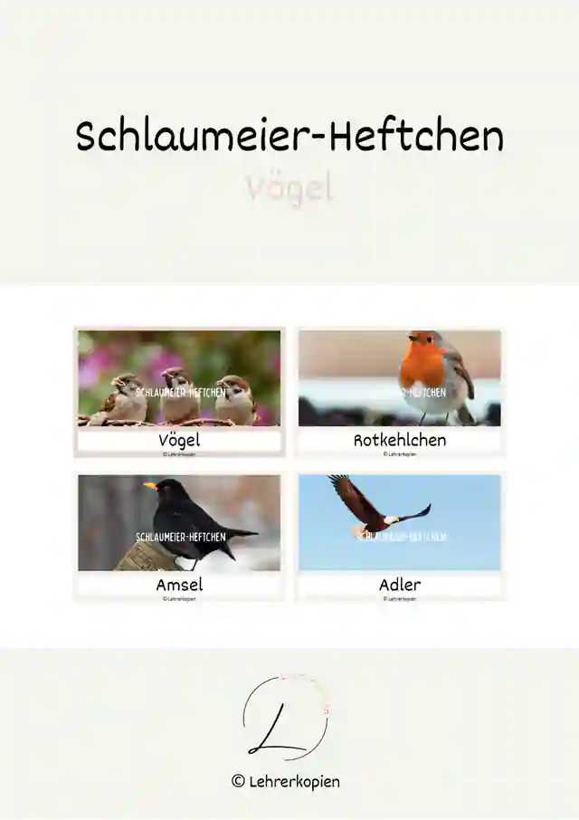 Schlaumeier-Heftchen: Vögel (Lesen auf Satzebene, Silbenschrift)