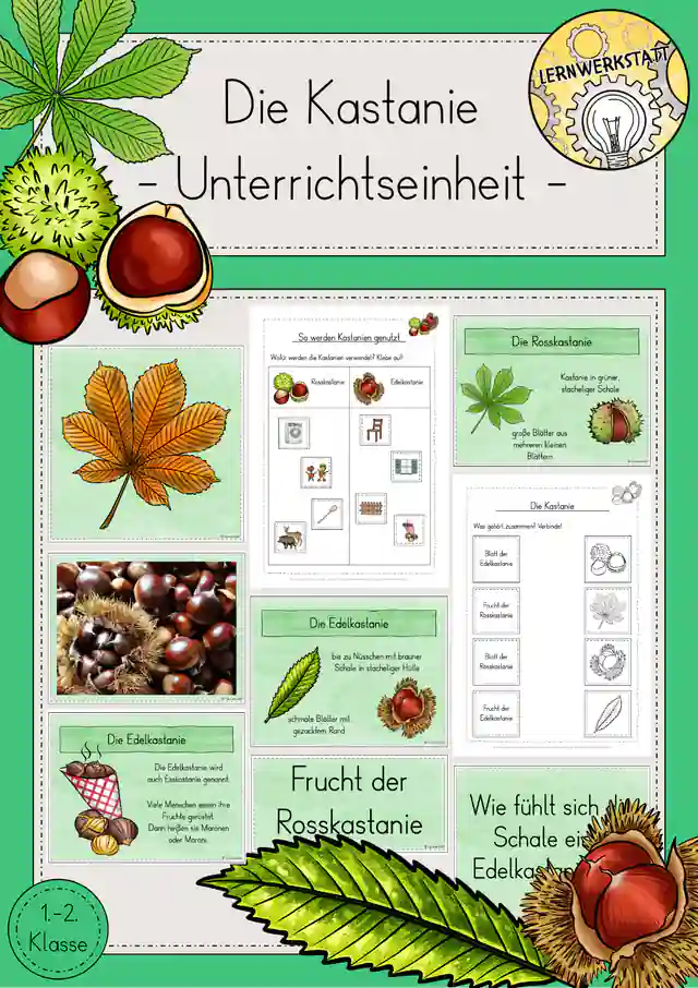 Kastanie Unterrichtseinheit Sachunterricht Klasse 1/2