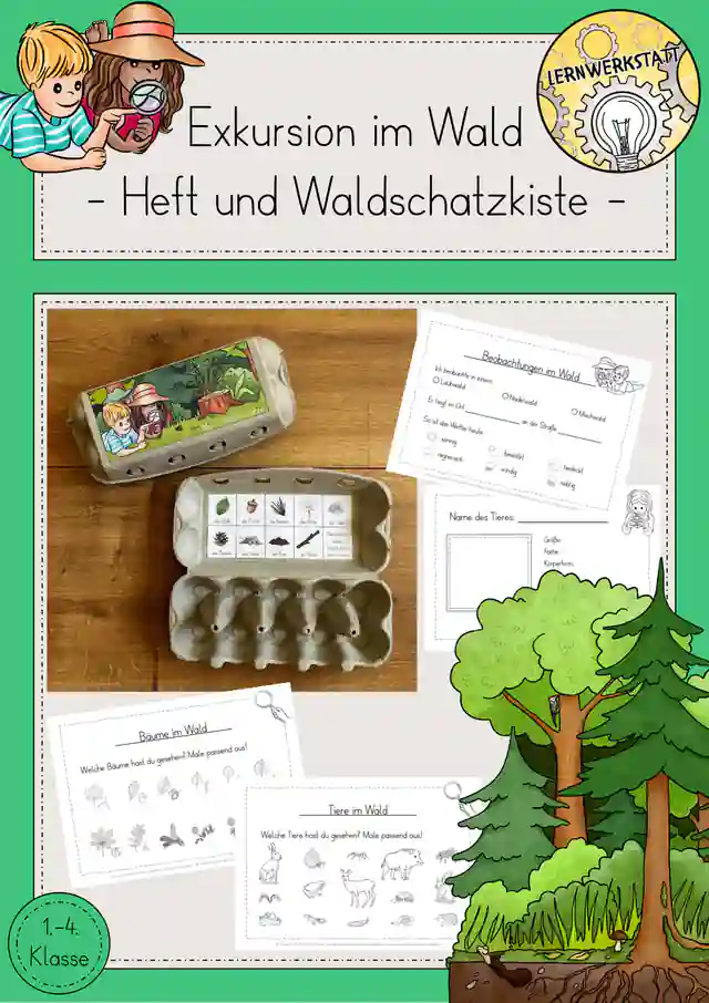 Waldschatzkiste Beobachtung Wald