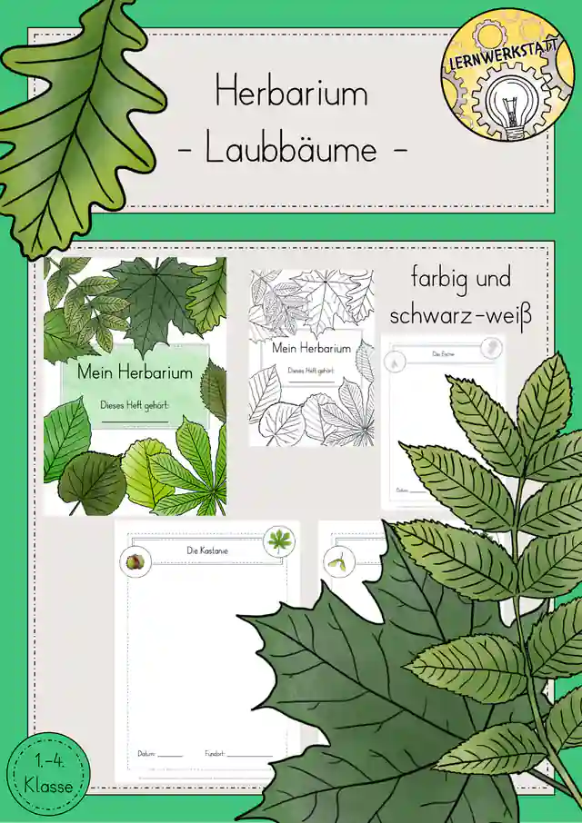 Laubbäume Blätter Herbarium Sachunterricht