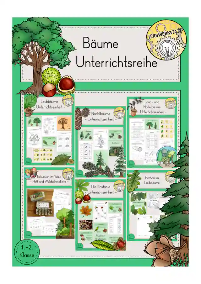 Bäume Laubbäume Nadelbäume Unterrichtsreihe Materialpaket Sachunterricht Klasse 1/2