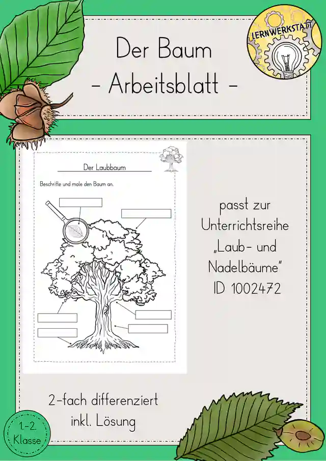 Laubbaum beschriften Arbeitsblatt Sachunterricht Klasse 1/2