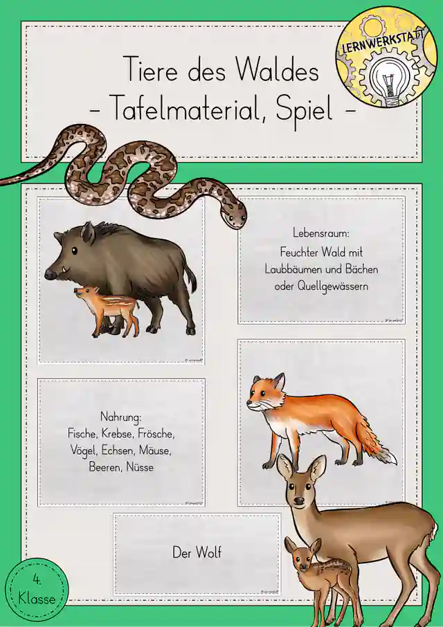 Wald Tiere Waldtiere Tafelmaterial Spiel Sachunterricht Klasse 4
