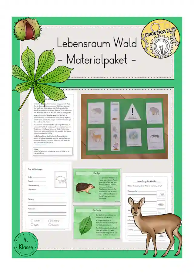 Wald Materialpaket Sachunterricht Klasse 4