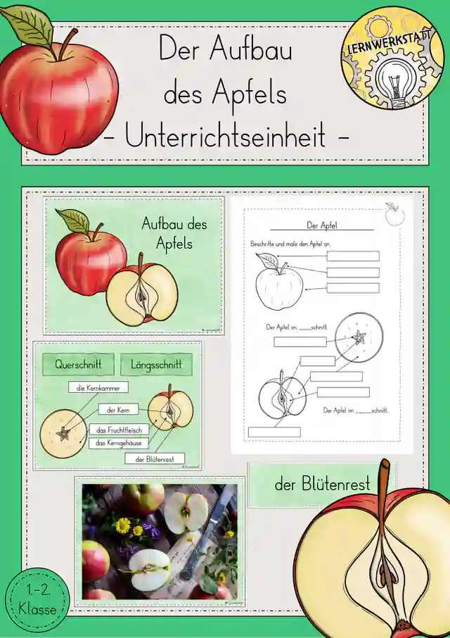 Apfel Aufbau Unterrichtseinheit