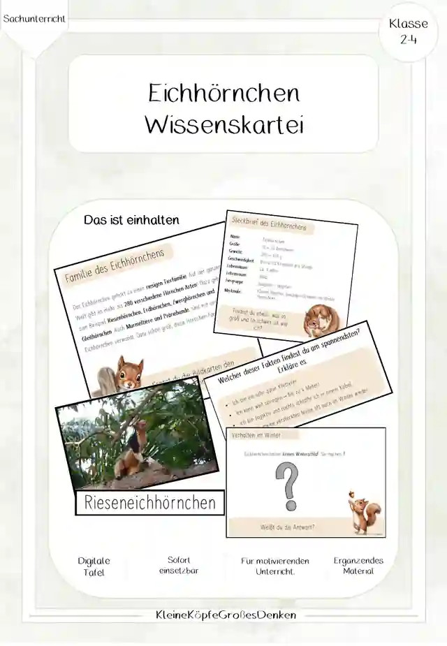 Eichhörnchen - Wissenskartei ergänzend + digitale Tafel