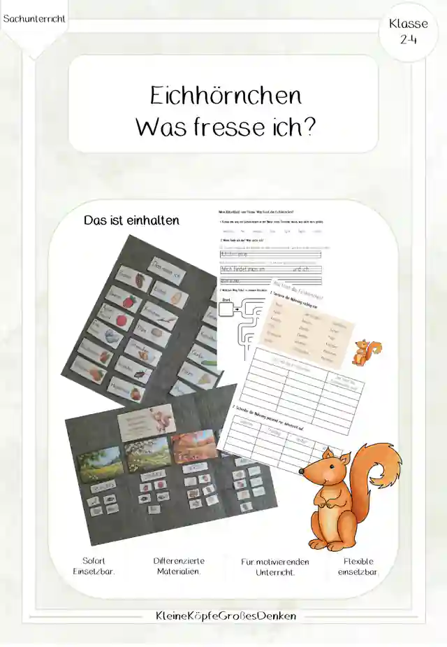 Eichhörnchen - Was frisst das Eichhörnchen
