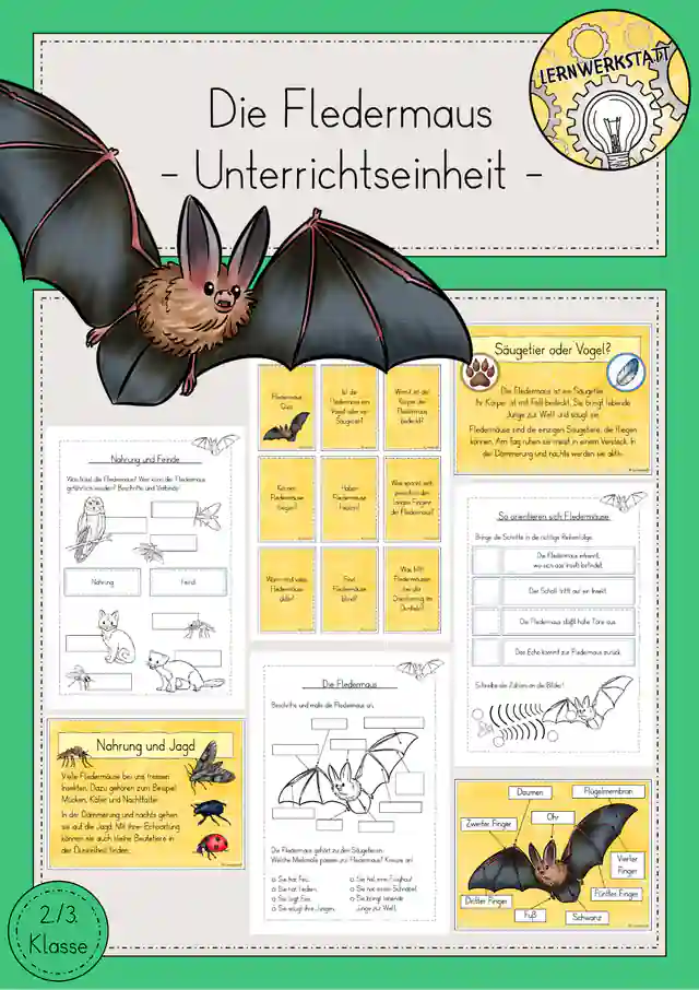Fledermaus Halloween Unterrichtseinheit Sachunterricht Klasse 2/3