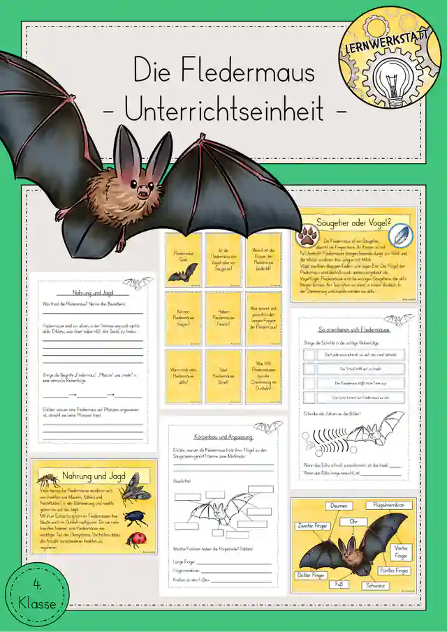 Fledermaus Halloween Unterrichtseinheit Sachunterricht Klasse 4