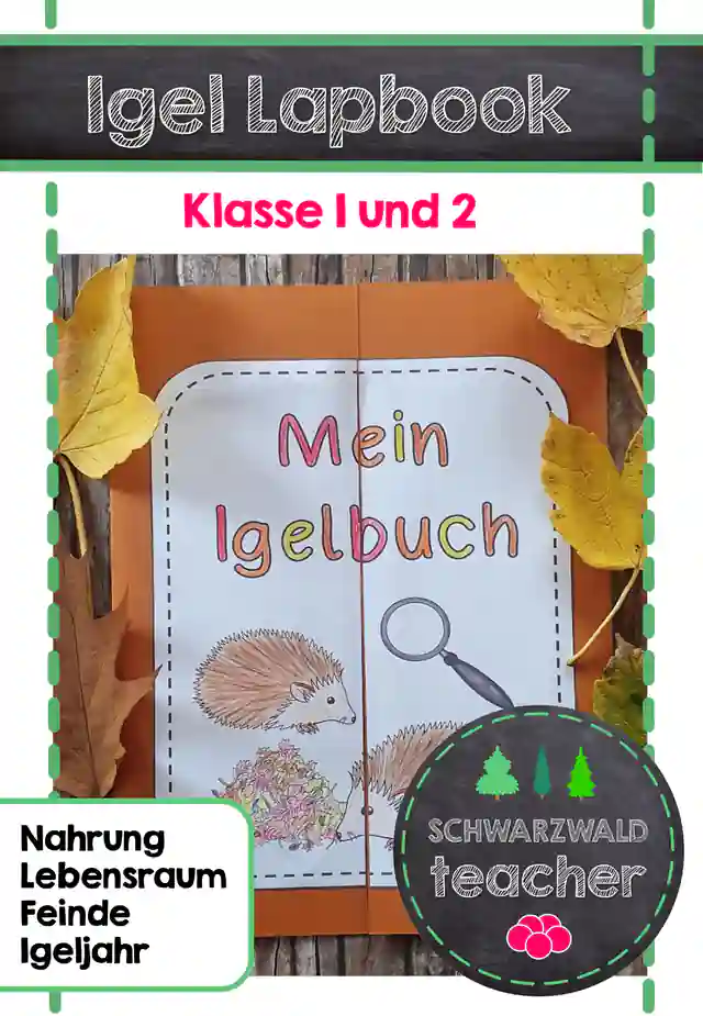 Igel-Lapbook für den Herbst – Vorlagen für den Sachunterricht | Klasse 1–2